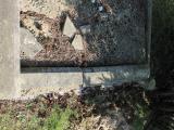image of grave number 558131